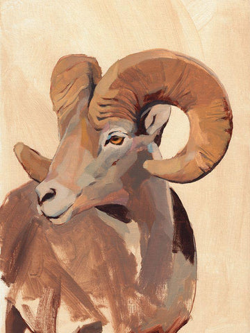 Ochre Ram II White Modern Wood Framed Art Print with Double Matting by Green, Jacob