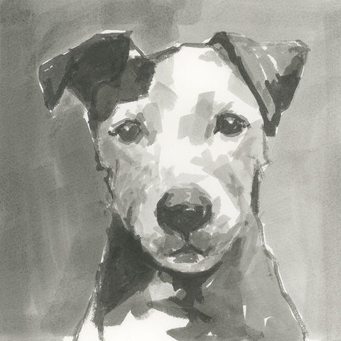 A Very Neutral Modern Dog VI Black Modern Wood Framed Art Print by Cartissi