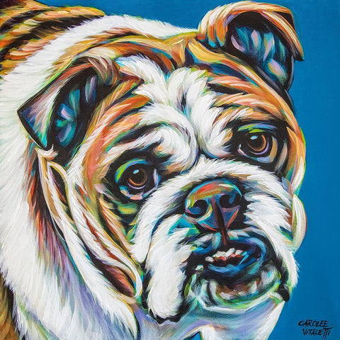 Colorful Bulldog White Modern Wood Framed Art Print with Double Matting by Vitaletti, Carolee