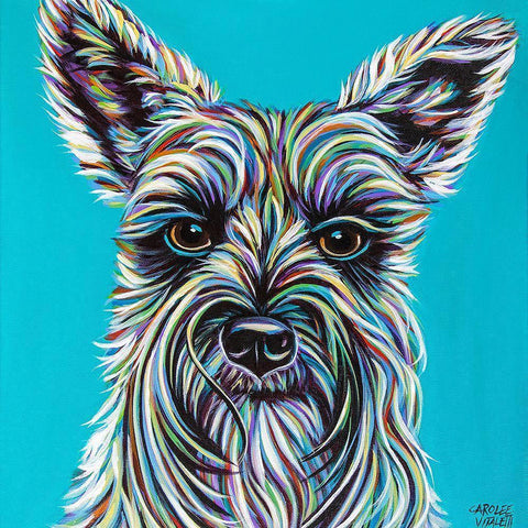 Colorful Schnauzer Black Modern Wood Framed Art Print with Double Matting by Vitaletti, Carolee