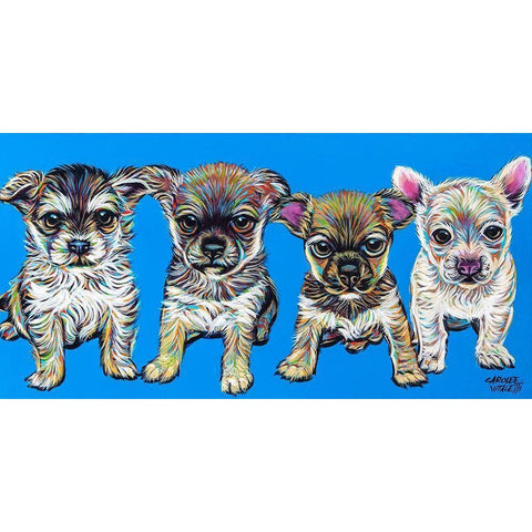 Chihuahua Pups White Modern Wood Framed Art Print by Vitaletti, Carolee