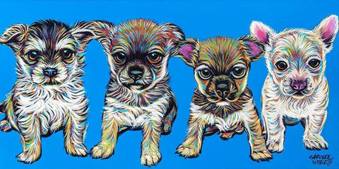 Chihuahua Pups Black Ornate Wood Framed Art Print with Double Matting by Vitaletti, Carolee