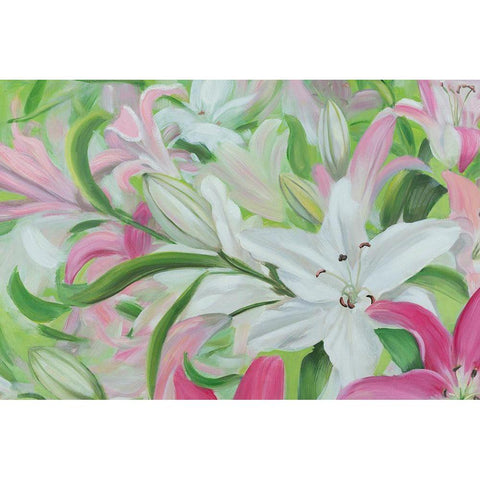 Pink and White Lilies I Black Modern Wood Framed Art Print with Double Matting by Iafrate, Sandra