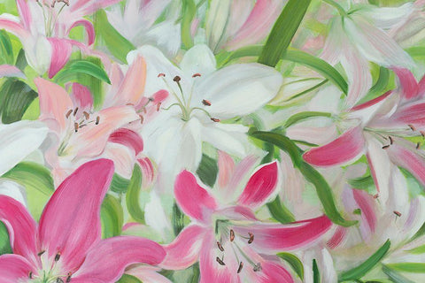 Pink and White Lilies II Black Ornate Wood Framed Art Print with Double Matting by Iafrate, Sandra