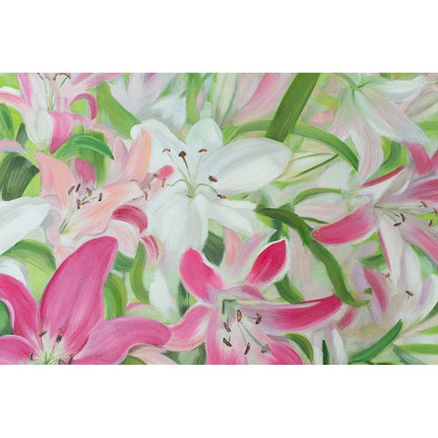 Pink and White Lilies II Black Modern Wood Framed Art Print by Iafrate, Sandra