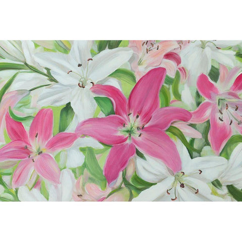 Pink and White Lilies III Black Modern Wood Framed Art Print with Double Matting by Iafrate, Sandra