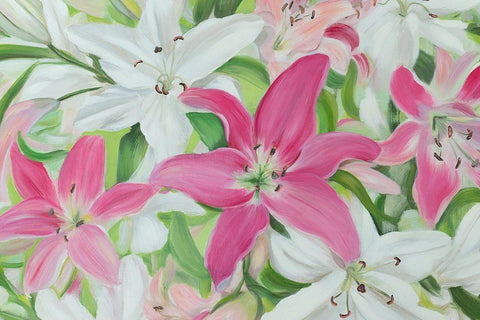 Pink and White Lilies III Black Ornate Wood Framed Art Print with Double Matting by Iafrate, Sandra