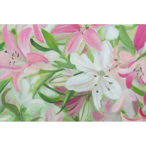 Pink and White Lilies IV Black Modern Wood Framed Art Print by Iafrate, Sandra