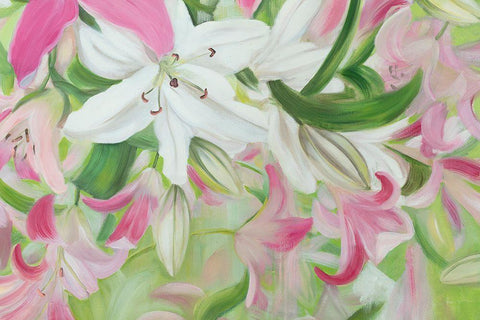 Pink and White Lilies V Black Ornate Wood Framed Art Print with Double Matting by Iafrate, Sandra