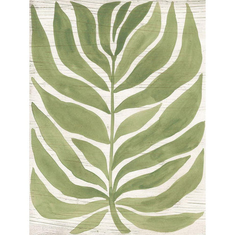 Driftwood Palm Leaf I Black Modern Wood Framed Art Print by Vess, June Erica