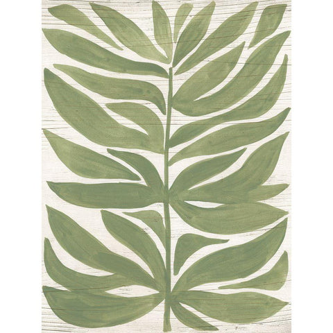 Driftwood Palm Leaf II Black Modern Wood Framed Art Print by Vess, June Erica