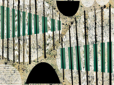 Texture Play II Black Ornate Wood Framed Art Print with Double Matting by Galapon, Nikki
