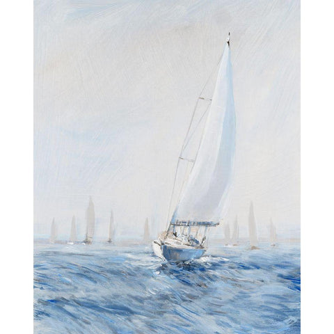 Sailing Upwind I Gold Ornate Wood Framed Art Print with Double Matting by OToole, Tim