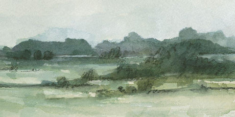 Marshy Landscape II Black Ornate Wood Framed Art Print with Double Matting by Caroline, Emma