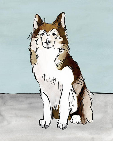 Pet Portrait II White Modern Wood Framed Art Print with Double Matting by Warren, Annie