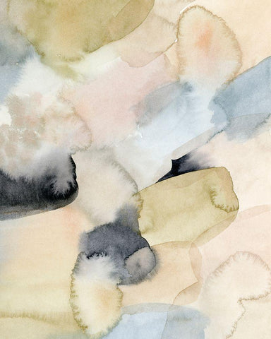 Salmon Rocks I Black Ornate Wood Framed Art Print with Double Matting by Popp, Grace