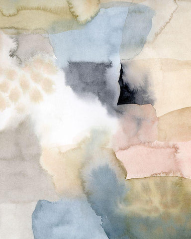 Salmon Rocks II Black Ornate Wood Framed Art Print with Double Matting by Popp, Grace