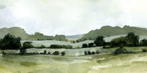 Vert Landscape III Black Ornate Wood Framed Art Print with Double Matting by Caroline, Emma