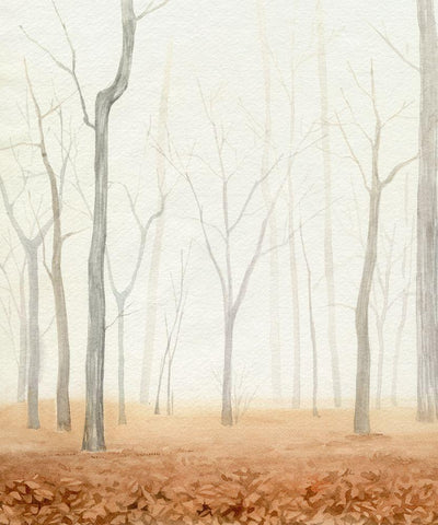 Fall in the Forest I White Modern Wood Framed Art Print with Double Matting by Popp, Grace