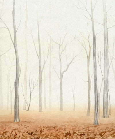 Fall in the Forest II White Modern Wood Framed Art Print with Double Matting by Popp, Grace