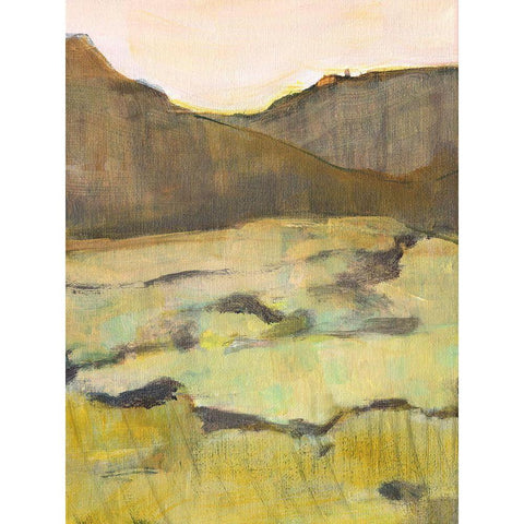 Desert Road Trip IV Gold Ornate Wood Framed Art Print with Double Matting by Fuchs, Jodi
