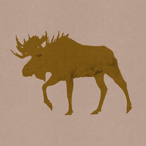 Golden Moose II Black Ornate Wood Framed Art Print with Double Matting by Green, Jacob