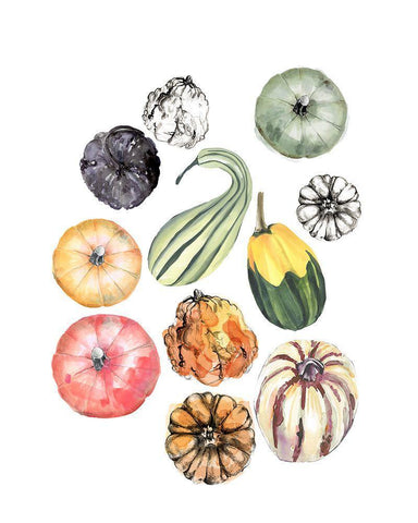 Watercolor Pumpkins II White Modern Wood Framed Art Print with Double Matting by Parker, Jennifer Paxton