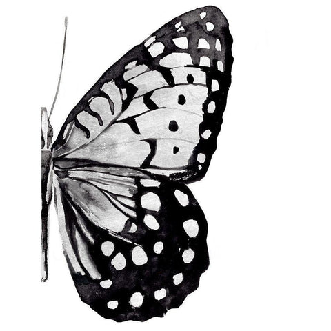 Monochrome Wings II Gold Ornate Wood Framed Art Print with Double Matting by Warren, Annie