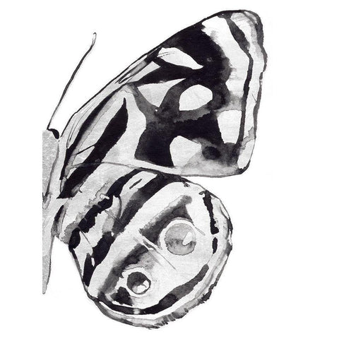 Monochrome Wings IV Gold Ornate Wood Framed Art Print with Double Matting by Warren, Annie