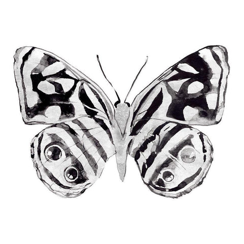 Monochrome Wings Whole II Black Modern Wood Framed Art Print by Warren, Annie