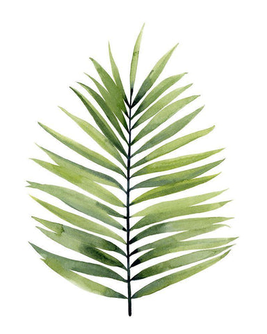 Palm Water I White Modern Wood Framed Art Print with Double Matting by Popp, Grace