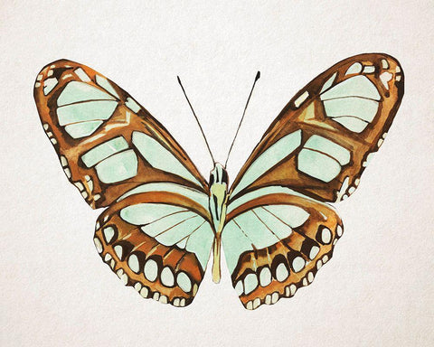Mint Butterfly I White Modern Wood Framed Art Print with Double Matting by Warren, Annie