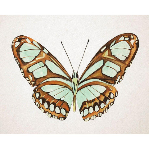 Mint Butterfly I White Modern Wood Framed Art Print by Warren, Annie