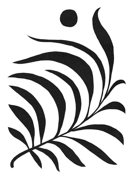 Image Only