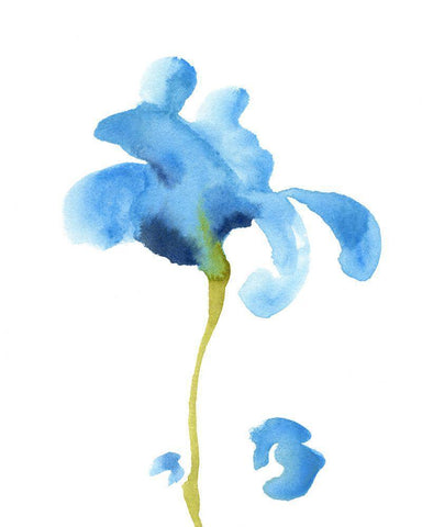 Striking Blue Iris II White Modern Wood Framed Art Print with Double Matting by Green, Jacob