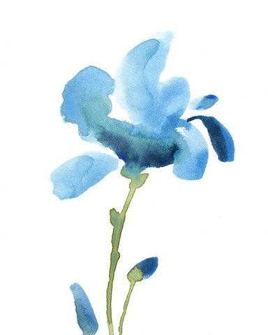 Striking Blue Iris IV White Modern Wood Framed Art Print with Double Matting by Green, Jacob