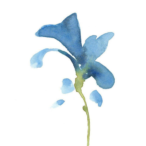 Striking Blue Iris V Black Modern Wood Framed Art Print with Double Matting by Green, Jacob