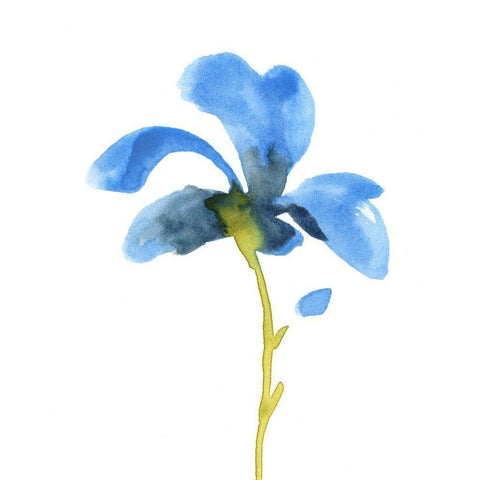 Striking Blue Iris VI Black Modern Wood Framed Art Print by Green, Jacob