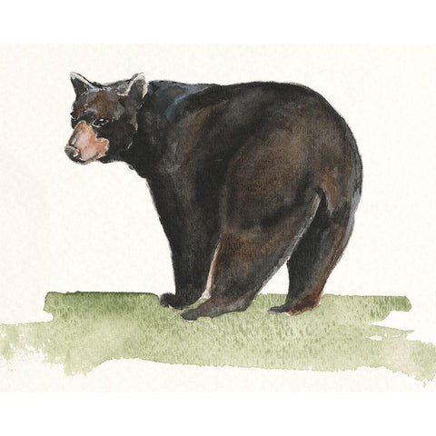 Forest Resident I Black Modern Wood Framed Art Print by Moore, Regina