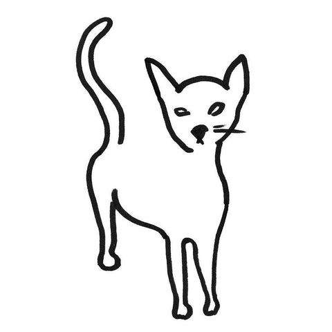 Kitteh I White Modern Wood Framed Art Print with Double Matting by Longley, Alicia