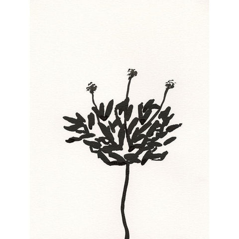 Ink Botanical Sketch III White Modern Wood Framed Art Print by Holland, J.