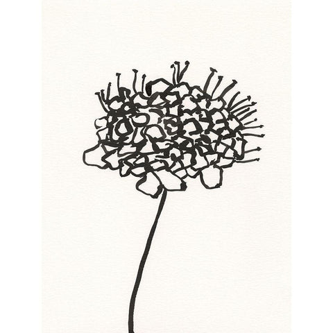 Ink Botanical Sketch V Gold Ornate Wood Framed Art Print with Double Matting by Holland, J.