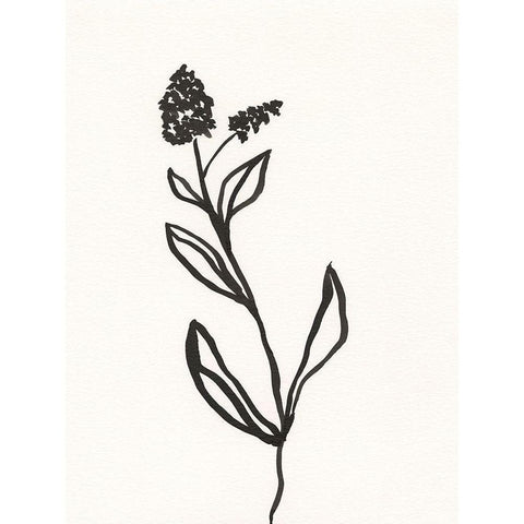 Ink Botanical Sketch VI Black Modern Wood Framed Art Print by Holland, J.