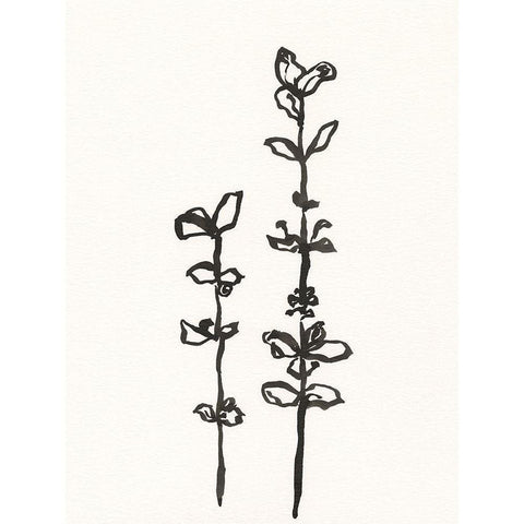 Ink Botanical Sketch VIII White Modern Wood Framed Art Print by Holland, J.