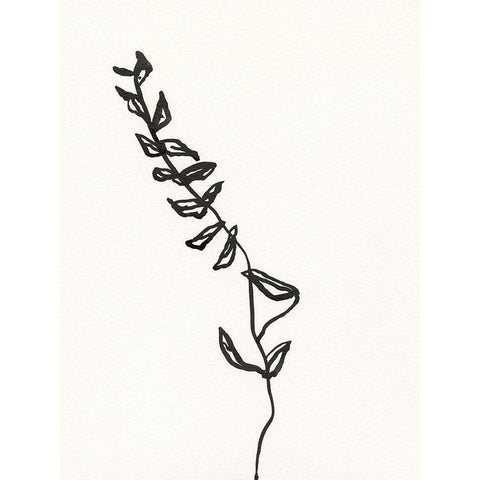 Ink Botanical Sketch IX Black Modern Wood Framed Art Print by Holland, J.