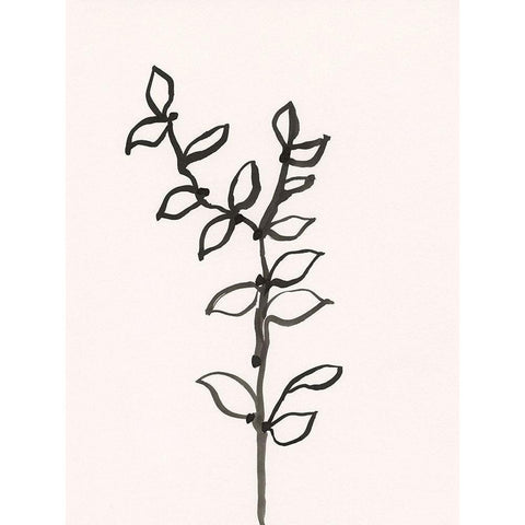 Ink Botanical Sketch X Black Modern Wood Framed Art Print with Double Matting by Holland, J.