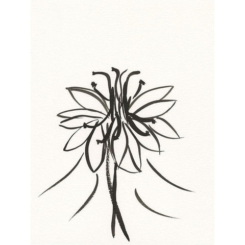 Ink Botanical Sketch XI Black Modern Wood Framed Art Print with Double Matting by Holland, J.
