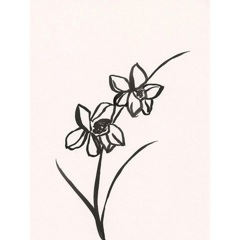 Ink Botanical Sketch XII Black Modern Wood Framed Art Print with Double Matting by Holland, J.