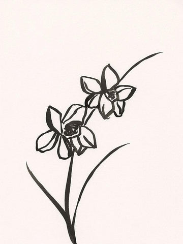 Ink Botanical Sketch XII White Modern Wood Framed Art Print with Double Matting by Holland, J.