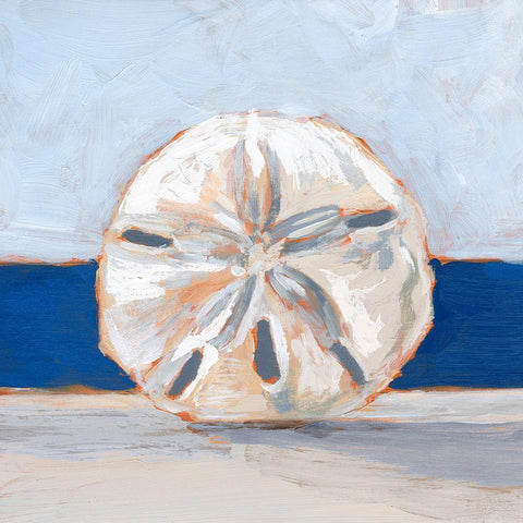 Sand Dollar By the Sea Black Modern Wood Framed Art Print by Harper, Ethan